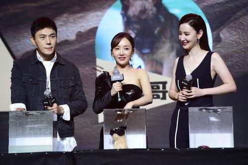 娱乐圈吃瓜爆料合集小说